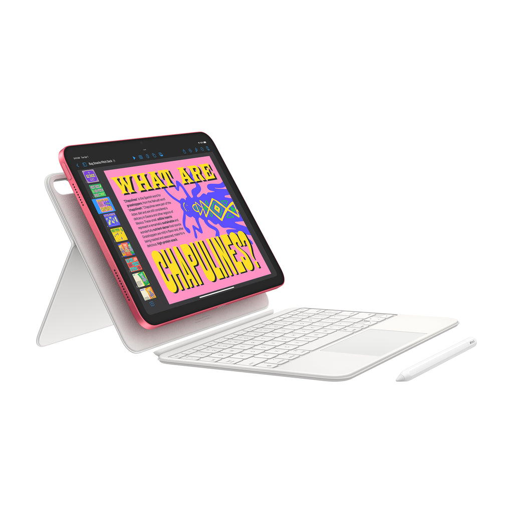 iPad